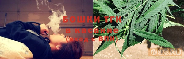мет Ельня