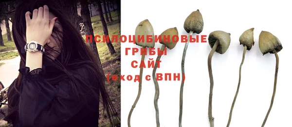 мет Ельня