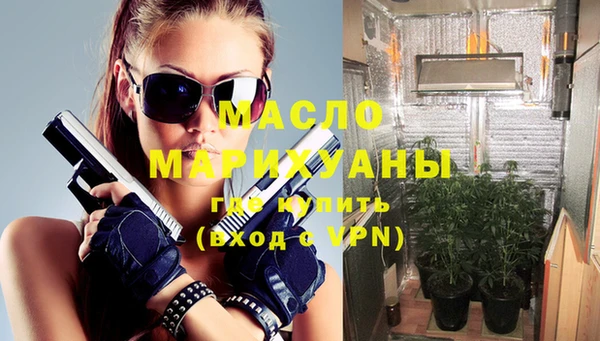 мет Ельня