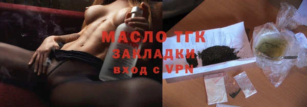 мет Ельня