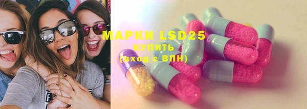 мет Ельня