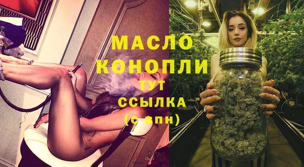 стаф Елабуга