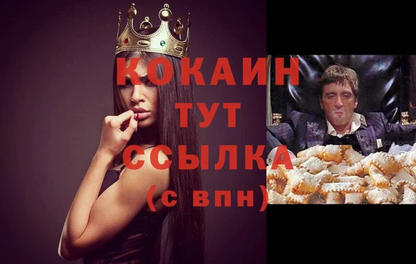стаф Елабуга