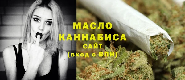 мет Ельня
