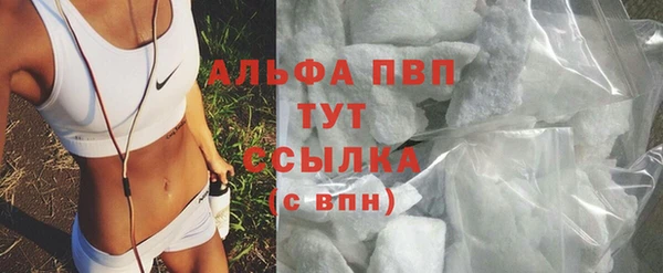 стаф Елабуга