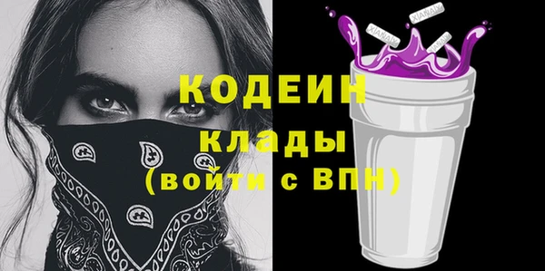 мет Ельня