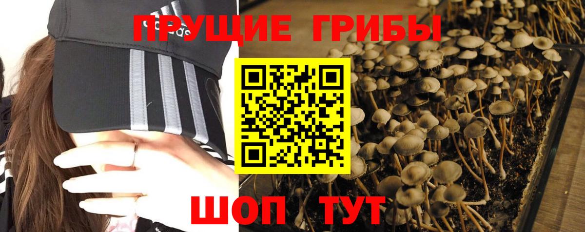 Ишимбай  Псилоцибиновые грибы GOLDEN TEACHER  Псилоцибиновые грибы GOLDEN TEACHER  Вход с VPN 